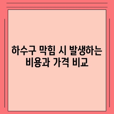 대전시 유성구 진잠동 하수구막힘 | 가격 | 비용 | 기름제거 | 싱크대 | 변기 | 세면대 | 역류 | 냄새차단 | 2024 후기