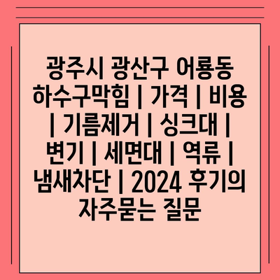 광주시 광산구 어룡동 하수구막힘 | 가격 | 비용 | 기름제거 | 싱크대 | 변기 | 세면대 | 역류 | 냄새차단 | 2024 후기