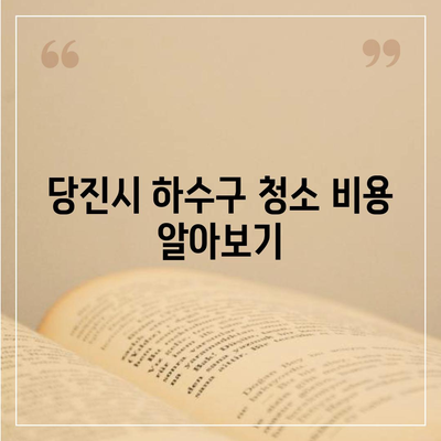 충청남도 당진시 신평면 하수구막힘 | 가격 | 비용 | 기름제거 | 싱크대 | 변기 | 세면대 | 역류 | 냄새차단 | 2024 후기