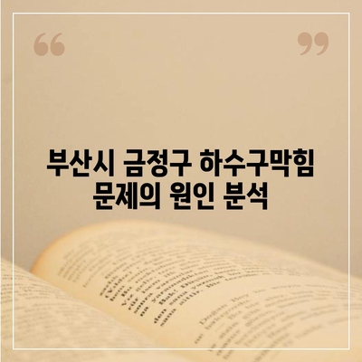 부산시 금정구 부곡4동 하수구막힘 | 가격 | 비용 | 기름제거 | 싱크대 | 변기 | 세면대 | 역류 | 냄새차단 | 2024 후기