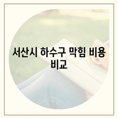 충청남도 서산시 음암면 하수구막힘 | 가격 | 비용 | 기름제거 | 싱크대 | 변기 | 세면대 | 역류 | 냄새차단 | 2024 후기