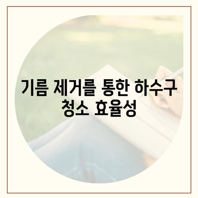 대전시 유성구 진잠동 하수구막힘 | 가격 | 비용 | 기름제거 | 싱크대 | 변기 | 세면대 | 역류 | 냄새차단 | 2024 후기