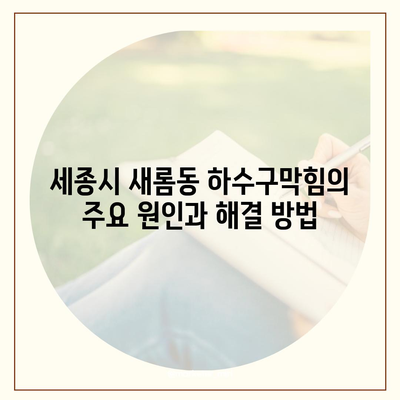 세종시 세종특별자치시 새롬동 하수구막힘 | 가격 | 비용 | 기름제거 | 싱크대 | 변기 | 세면대 | 역류 | 냄새차단 | 2024 후기