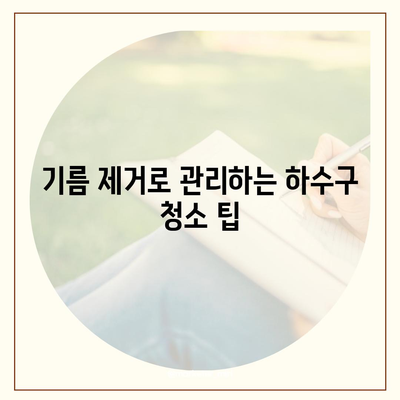 인천시 강화군 하점면 하수구막힘 | 가격 | 비용 | 기름제거 | 싱크대 | 변기 | 세면대 | 역류 | 냄새차단 | 2024 후기