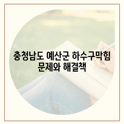 충청남도 예산군 오가면 하수구막힘 | 가격 | 비용 | 기름제거 | 싱크대 | 변기 | 세면대 | 역류 | 냄새차단 | 2024 후기