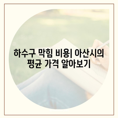 충청남도 아산시 온양5동 하수구막힘 | 가격 | 비용 | 기름제거 | 싱크대 | 변기 | 세면대 | 역류 | 냄새차단 | 2024 후기