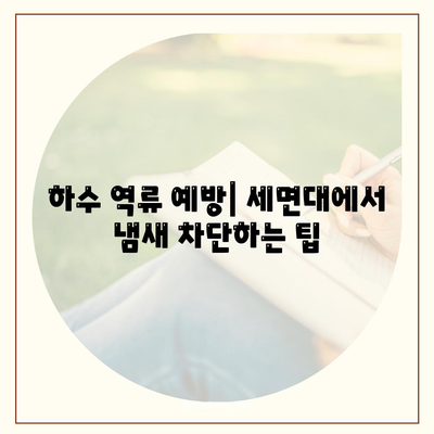 광주시 동구 산수1동 하수구막힘 | 가격 | 비용 | 기름제거 | 싱크대 | 변기 | 세면대 | 역류 | 냄새차단 | 2024 후기