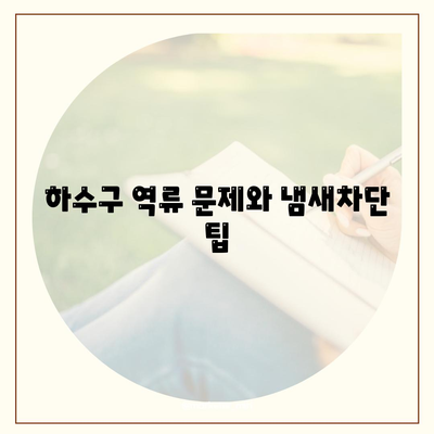 충청북도 단양군 가곡면 하수구막힘 | 가격 | 비용 | 기름제거 | 싱크대 | 변기 | 세면대 | 역류 | 냄새차단 | 2024 후기