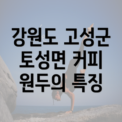 강원도 고성군 토성면 커피 원두의 특징