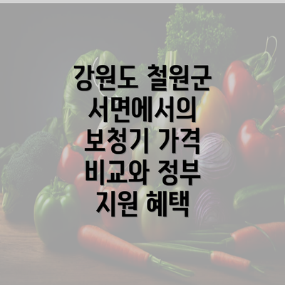 강원도 철원군 서면에서의 보청기 가격 비교와 정부 지원 혜택