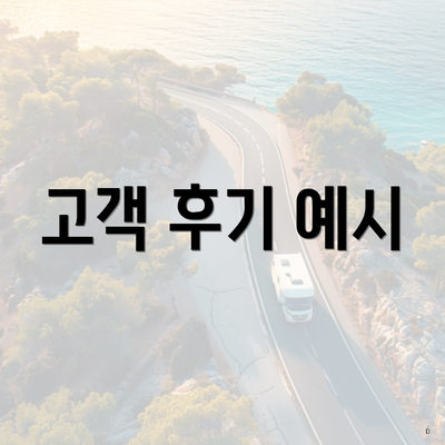 고객 후기 예시