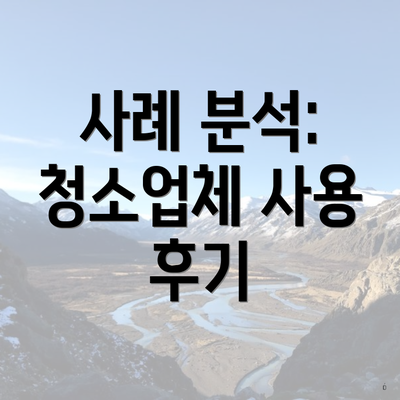 사례 분석: 청소업체 사용 후기