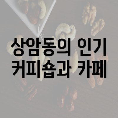 상암동의 인기 커피숍과 카페