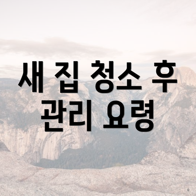 새 집 청소 후 관리 요령