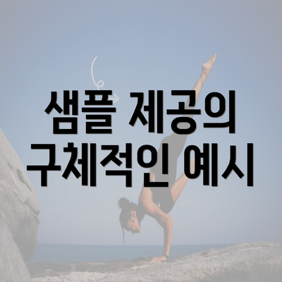 샘플 제공의 구체적인 예시