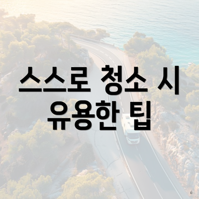 스스로 청소 시 유용한 팁