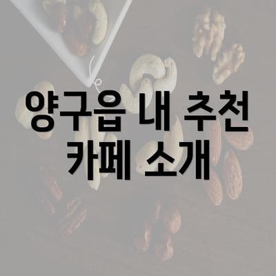 양구읍 내 추천 카페 소개