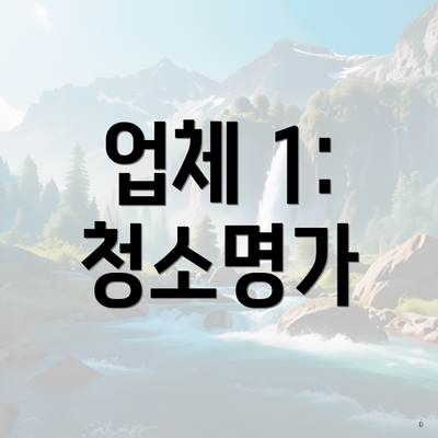 업체 1: 청소명가