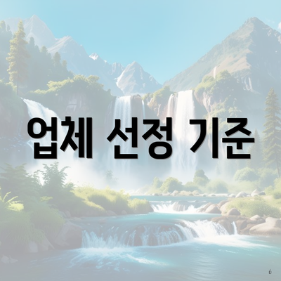 업체 선정 기준