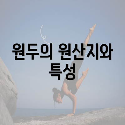 원두의 원산지와 특성