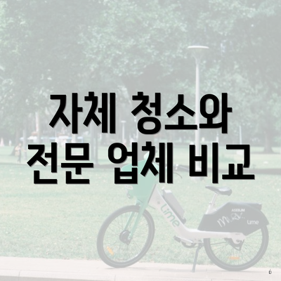 자체 청소와 전문 업체 비교