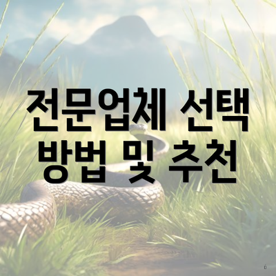 전문업체 선택 방법 및 추천