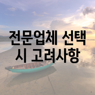 전문업체 선택 시 고려사항