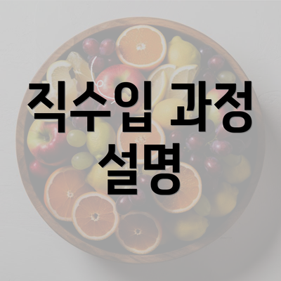 직수입 과정 설명