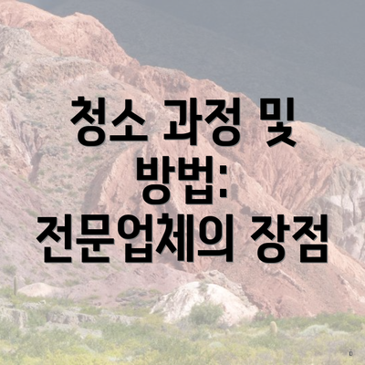 청소 과정 및 방법: 전문업체의 장점