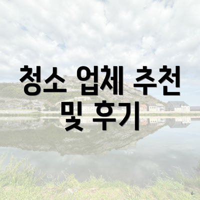 청소 업체 추천 및 후기