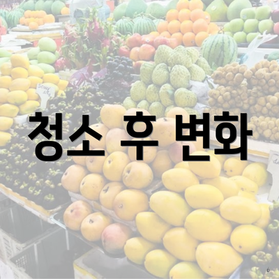 청소 후 변화