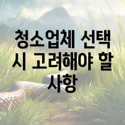 청소업체 선택 시 고려해야 할 사항