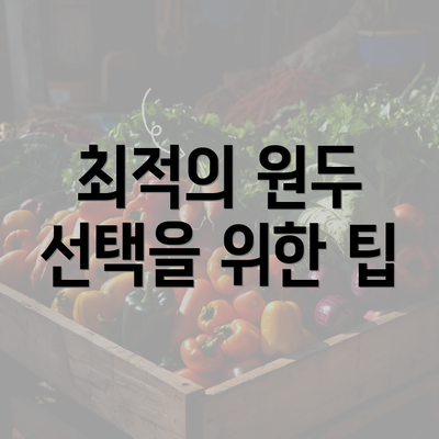 최적의 원두 선택을 위한 팁