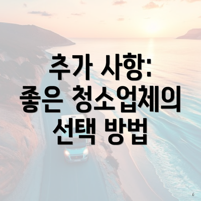 추가 사항: 좋은 청소업체의 선택 방법