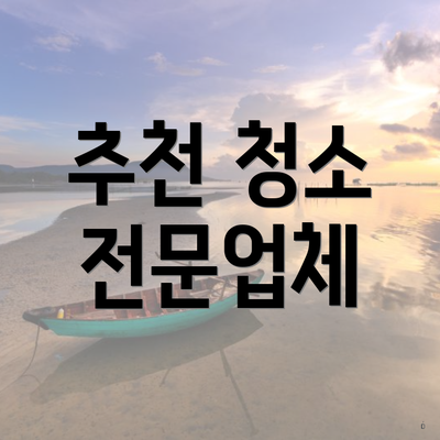 추천 청소 전문업체