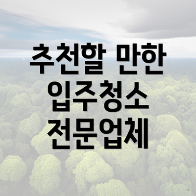 추천할 만한 입주청소 전문업체