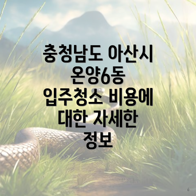 충청남도 아산시 온양6동 입주청소 비용에 대한 자세한 정보