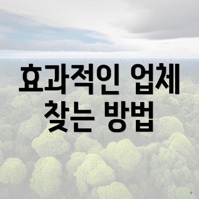 효과적인 업체 찾는 방법