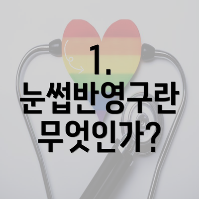 1. 눈썹반영구란 무엇인가?