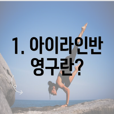 1. 아이라인반영구란?