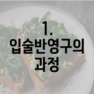 1. 입술반영구의 과정