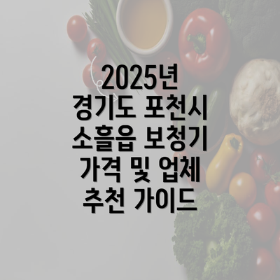 2025년 경기도 포천시 소흘읍 보청기 가격 및 업체 추천 가이드