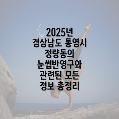 2025년 경상남도 통영시 정량동의 눈썹반영구와 관련된 모든 정보 총정리