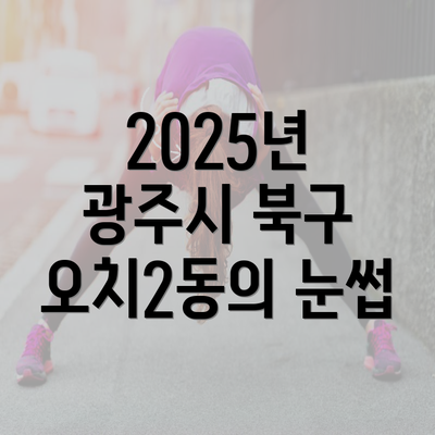 2025년 광주시 북구 오치2동의 눈썹