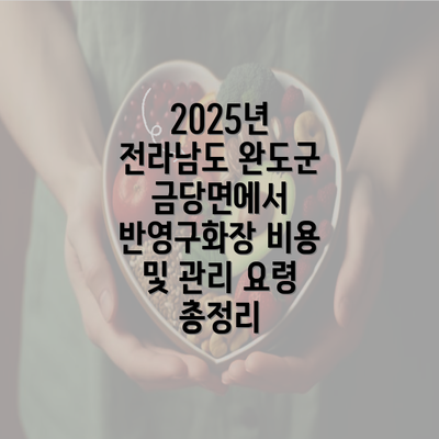 2025년 전라남도 완도군 금당면에서 반영구화장 비용 및 관리 요령 총정리