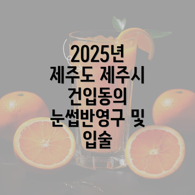 2025년 제주도 제주시 건입동의 눈썹반영구 및 입술