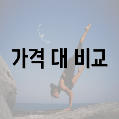 가격 대 비교