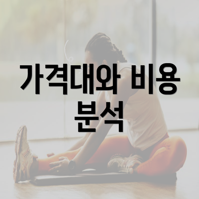 가격대와 비용 분석