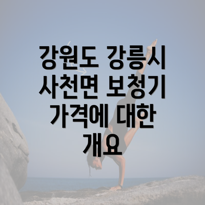 강원도 강릉시 사천면 보청기 가격에 대한 개요