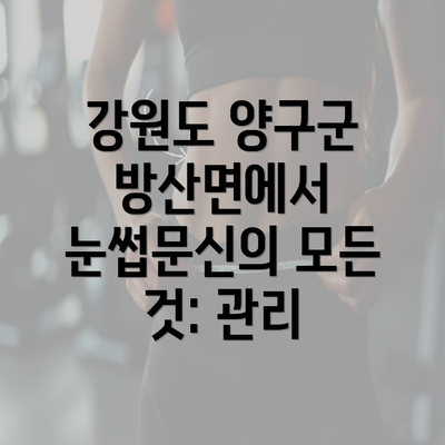 강원도 양구군 방산면에서 눈썹문신의 모든 것: 관리